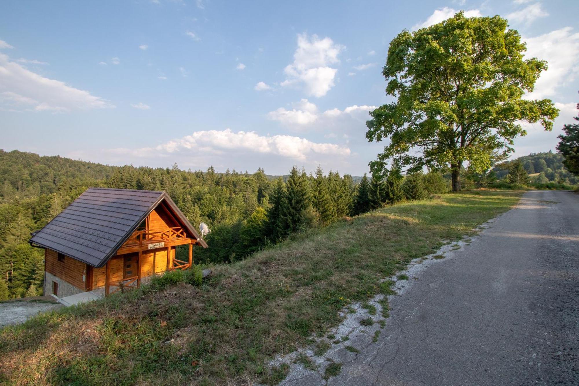 Brvnara Tarski Pogled